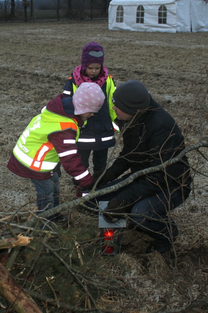 Bild1