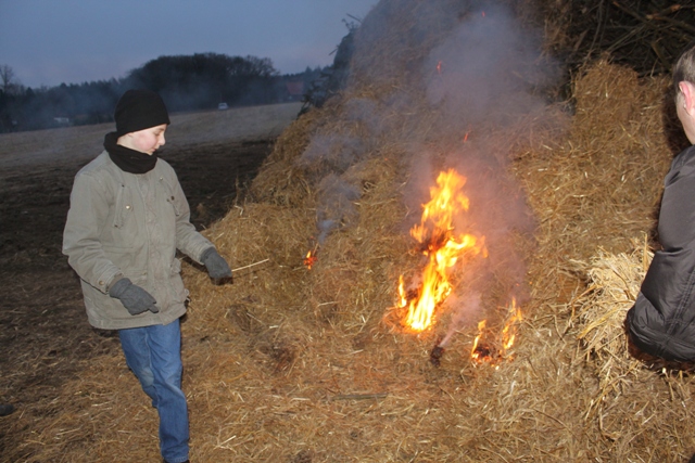 Bild8