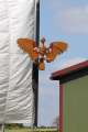 Bild023
