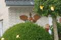 Bild028