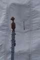 Bild220