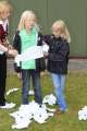 Bild 0265