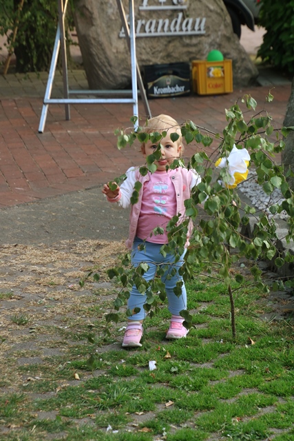 Bild077