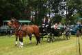 Bild080